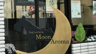 MoonAroma